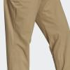 imageadidas Mens Terrex Liteflex Hiking PantsBeige ToneMesa