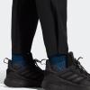 imageadidas Mens Terrex Liteflex Hiking PantsBlack