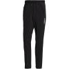 imageadidas Mens Terrex Liteflex Hiking PantsBlackBlack