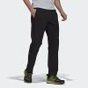 imageadidas Mens Terrex Liteflex Hiking PantsBlackBlack