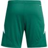 imageadidas Mens Tiro 24 ShortsTeam Dark GreenWhite