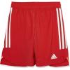 Team Power Red/White Team Power Red/White
