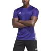 Team Collegiate Purple/White