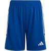 Team Royal Blue/White