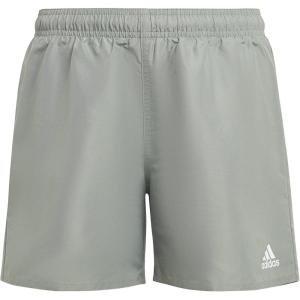 imageadidas Boys Classic Badge of Sport Swim ShortsSilver GreenWhite