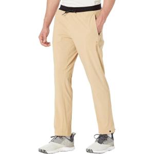 imageadidas Mens Terrex Liteflex Hiking PantsBeige ToneMesa