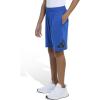imageadidas Boys Essentials Big Logo ShortTeam Royal Blue