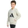 imageadidas Boys Long Sleeve Essential Big Logo Fleece Pullover HoodieWonder Alumina