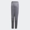 imageadidas Boys Tiro 19 Training PantsGreyWhite