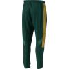 imageadidas Mens House of Tiro Nations Pack PantsCollegiate GreenBlanch CargoBold Gold