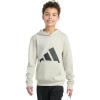 imageadidas Boys Long Sleeve Essential Big Logo Fleece Pullover HoodieWonder Alumina
