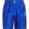 Team Royal Blue/True Blue