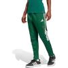 Dark Green/Collegiate Burgundy/White