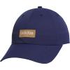 Dark Blue/Clear Brown