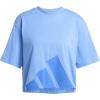 imageadidas Womens Essentials Big Logo Boyfriend TShirtBlue FusionBlue