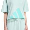 imageadidas Womens Essentials Big Logo Boyfriend TShirtHalo MintFlash Aqua