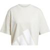 imageadidas Womens Essentials Big Logo Boyfriend TShirtWonder AluminaWhite
