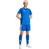 imageadidas Womens Standard Tiro 24 ShortsTeam Royal BlueWhite