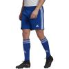 Team Royal Blue/White Team Royal Blue/White