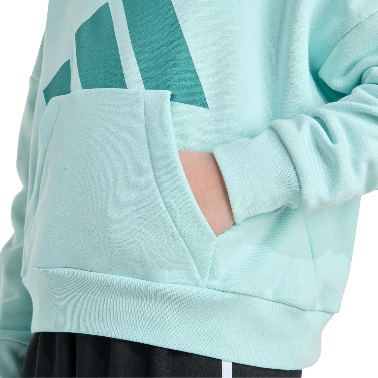 imageadidas Girls Fleece Colorblock Hooded SweatshirtHalo Mint