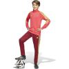 imageadidas Boys Tiro 24 Training PantsTeam Collegiate BurgundySemi Solar Yellow
