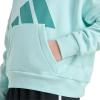 imageadidas Girls Fleece Colorblock Hooded SweatshirtHalo Mint