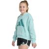 imageadidas Girls Fleece Colorblock Hooded SweatshirtHalo Mint