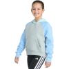 imageadidas Girls Fleece Colorblock Hooded SweatshirtMedium Grey Heather