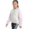 imageadidas Girls Fleece Colorblock Hooded SweatshirtOatmeal Heather