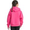 imageadidas Girls Fleece Colorblock Hooded SweatshirtShock Pink