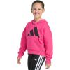 imageadidas Girls Fleece Colorblock Hooded SweatshirtShock Pink