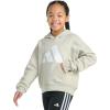 imageadidas Girls Fleece Colorblock Hooded SweatshirtWonder Alumina