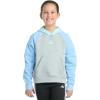 imageadidas Girls Fleece Colorblock Hooded SweatshirtMedium Grey Heather