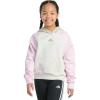 imageadidas Girls Fleece Colorblock Hooded SweatshirtOatmeal Heather