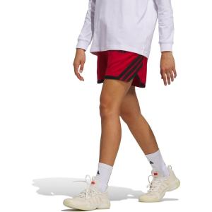 imageadidas Womens Crazylite Basketball ShortsTeam Power RedBlack