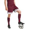 imageadidas Mens Squadra 25 ShortsTeam MaroonWhite