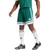 Team Dark Green/White Team Dark Green/White
