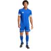 imageadidas Mens Squadra 25 ShortsTeam Royal BlueTeam Royal BlueWhite