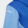 imageadidas Originals Kids Adicolor HoodieSemi Lucid BlueBlue Fusion