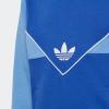 imageadidas Originals Kids Adicolor HoodieSemi Lucid BlueBlue Fusion