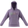 imageadidas Womens Wordmark Graphic HoodiePowder Plum