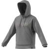 imageadidas Womens Wordmark Graphic HoodieMedium Grey Heather