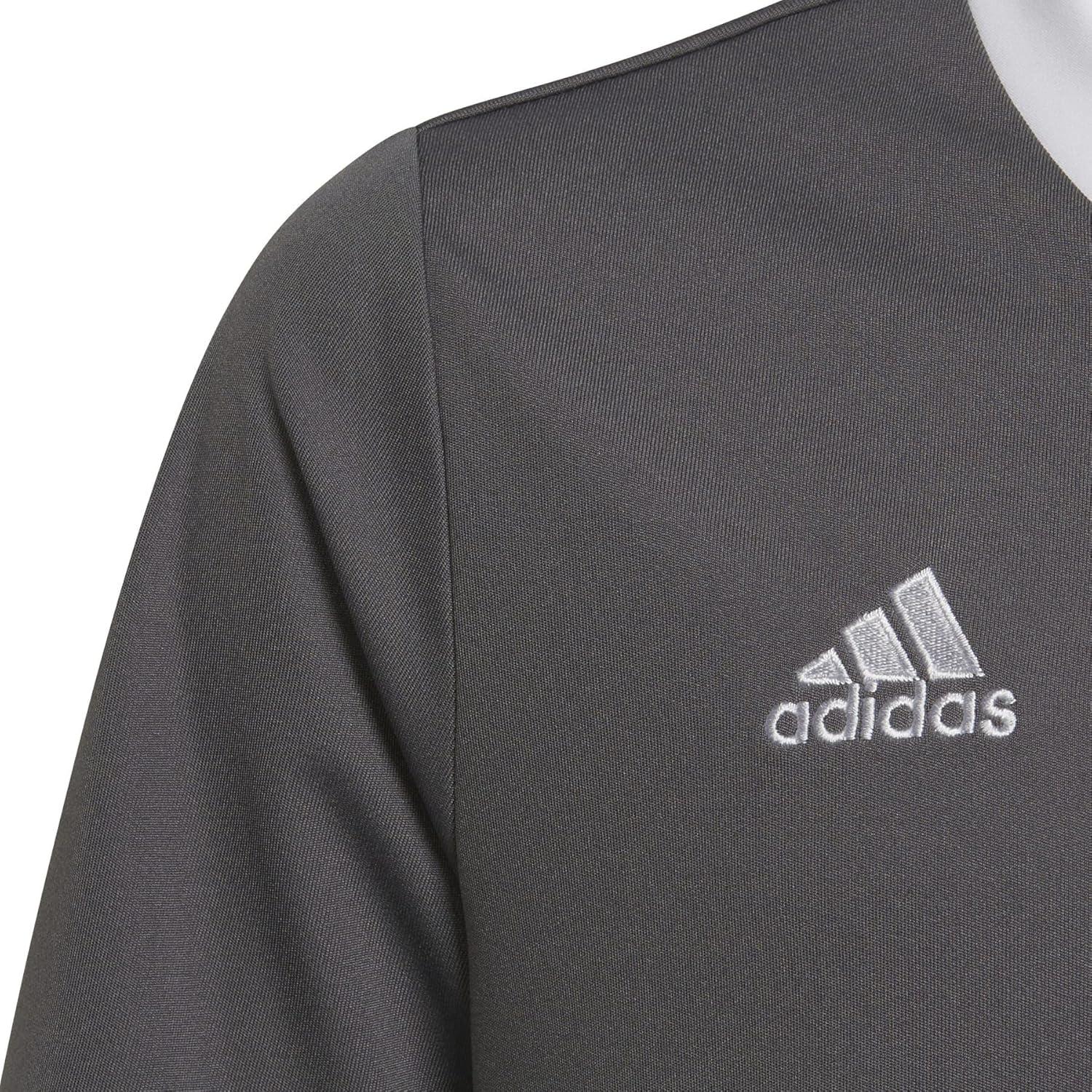 imageadidas UnisexChild Entrada 22 JerseyGrey