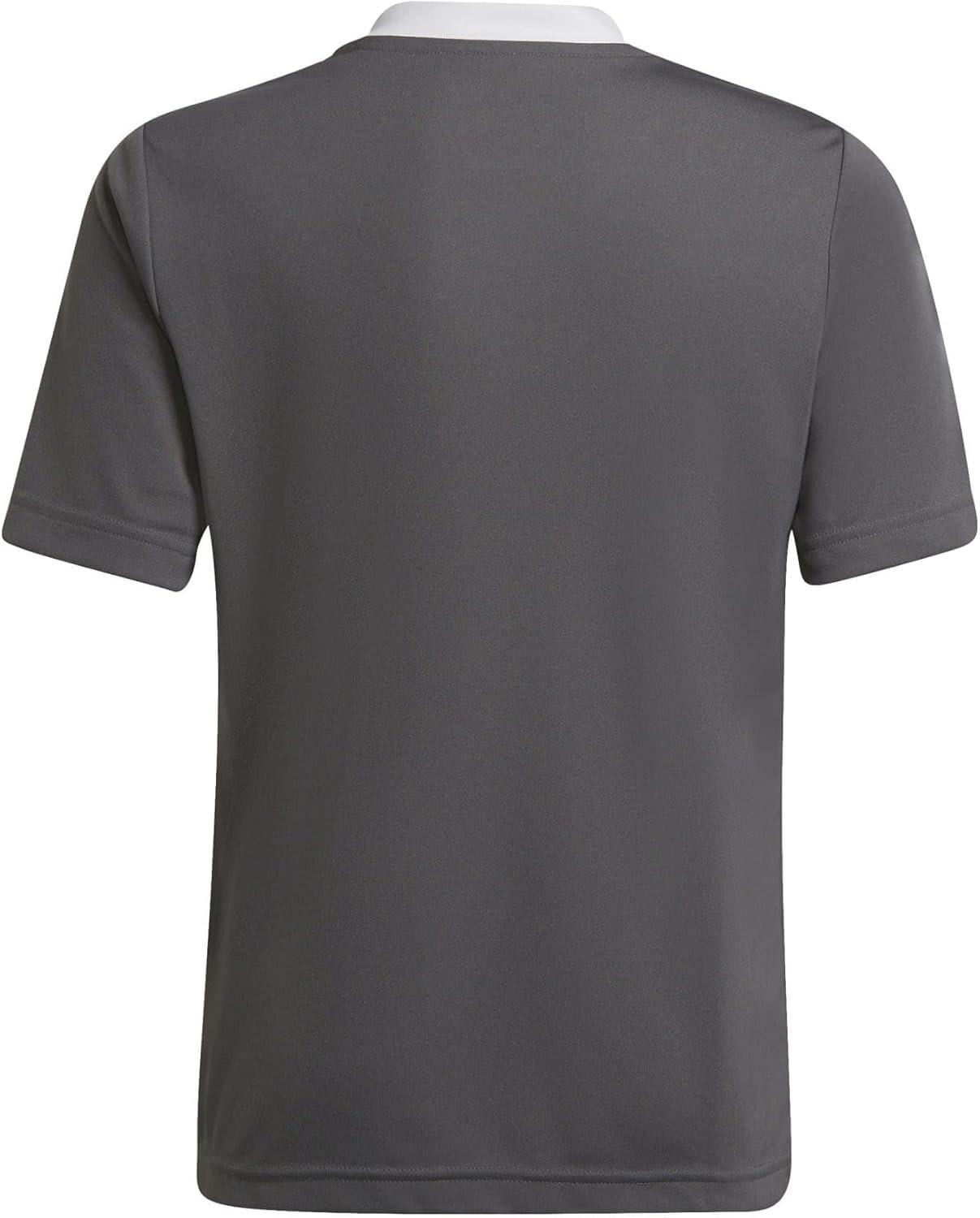 imageadidas UnisexChild Entrada 22 JerseyGrey