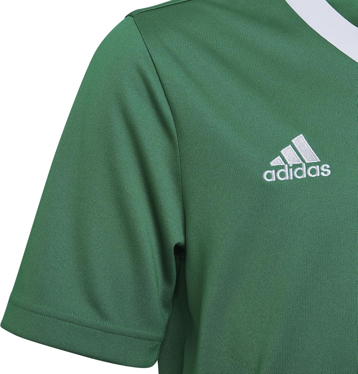 imageadidas UnisexChild Entrada 22 JerseyTeam GreenWhite