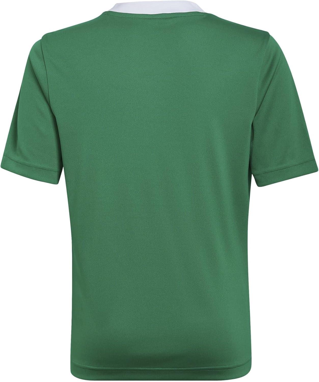 imageadidas UnisexChild Entrada 22 JerseyTeam GreenWhite