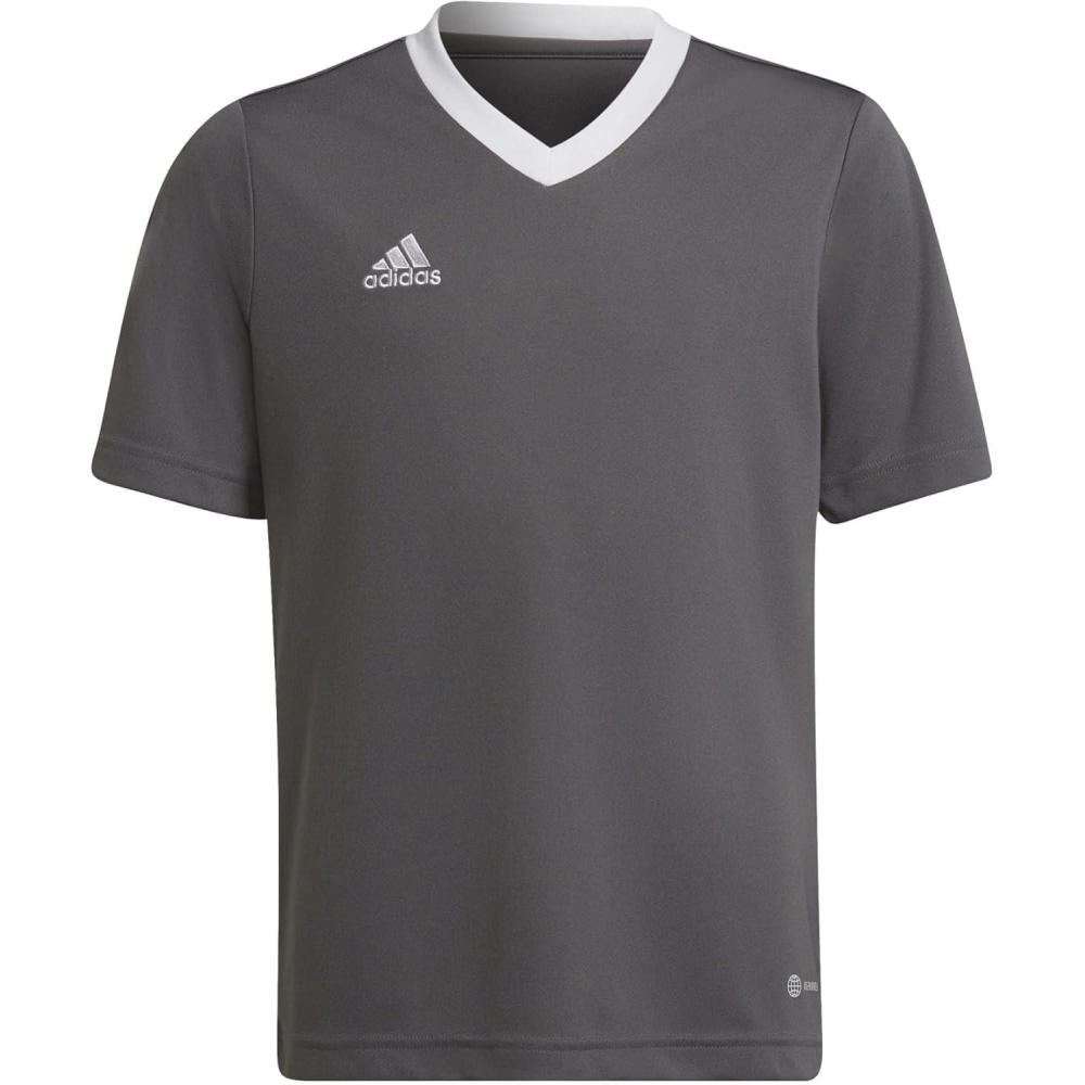 imageadidas UnisexChild Entrada 22 JerseyGrey