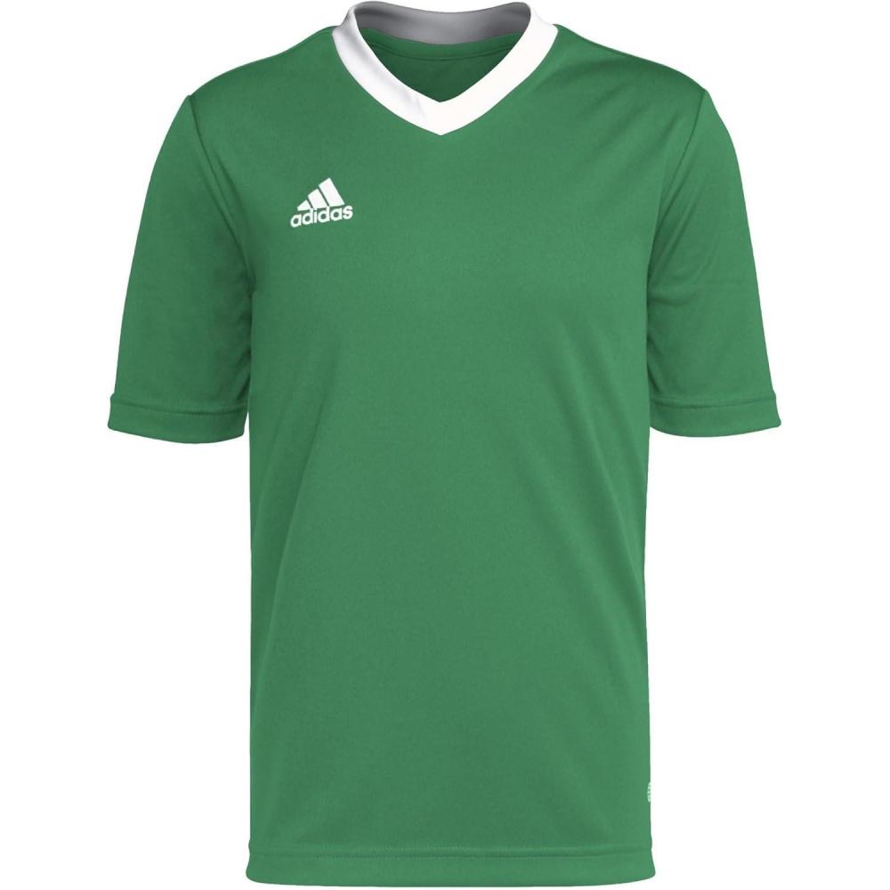 imageadidas UnisexChild Entrada 22 JerseyTeam GreenWhite
