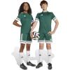 imageadidas Kids Squadra 25 ShortsTeam Dark GreenWhite