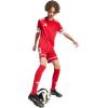 imageadidas Kids Squadra 25 ShortsTeam Power RedTeam Power RedWhite